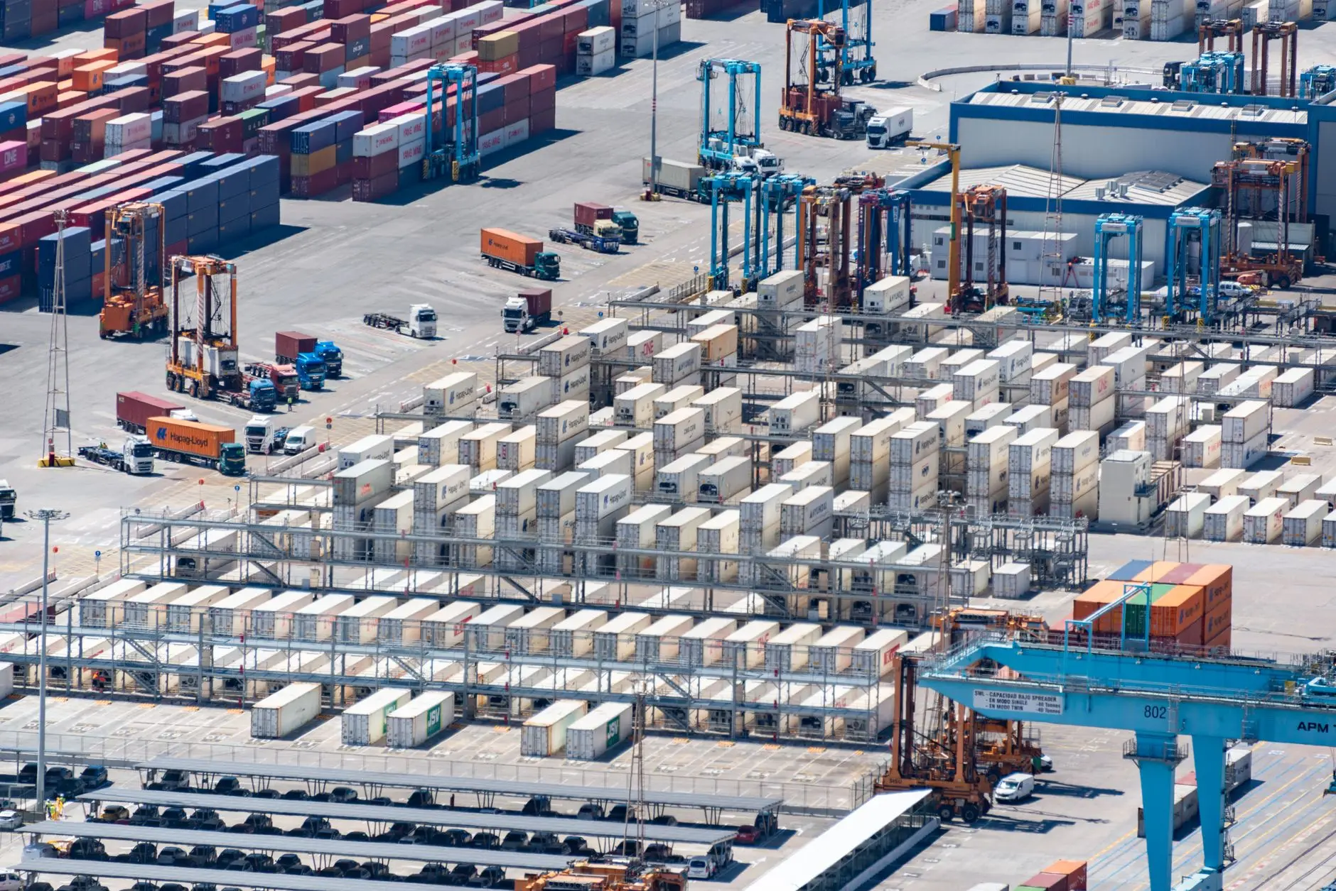 Trade & Distribution